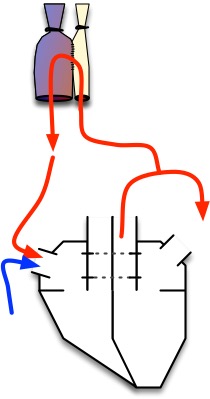 Diagram of the anastamosis