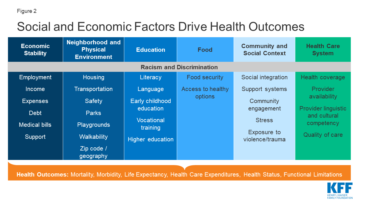 graphic depicting the social determinants of health