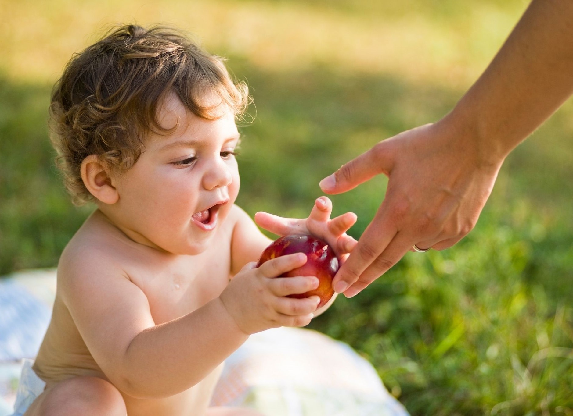 baby being handed a peach