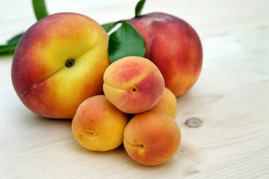 family of peaches