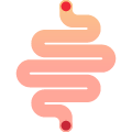 Non-realistic digital illustration of the digestive system
