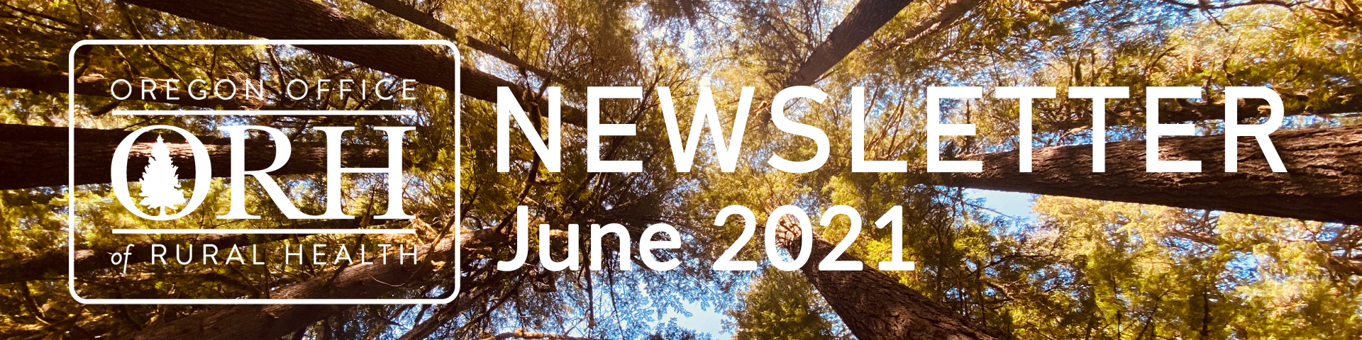 June 2021 Newsletter Banner