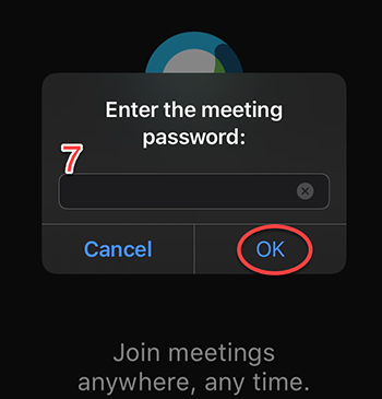 Webex meeting password screen