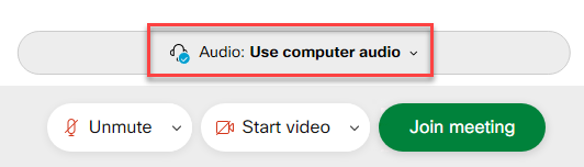 A screenshot showing the "Use Computer Audio" button