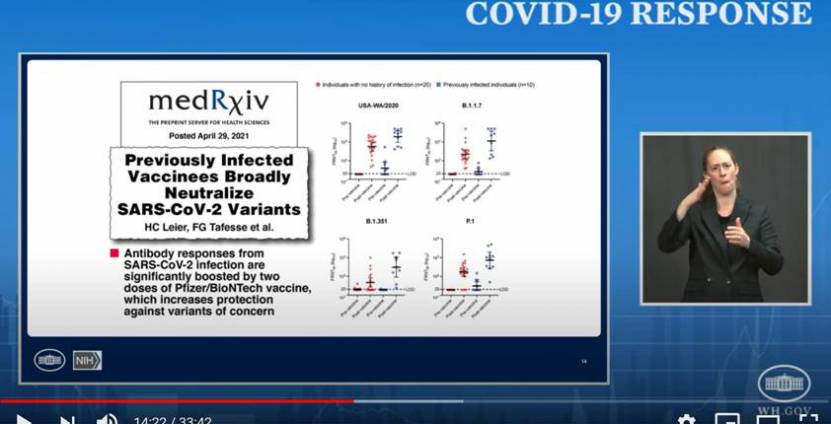 COVID-19 Response