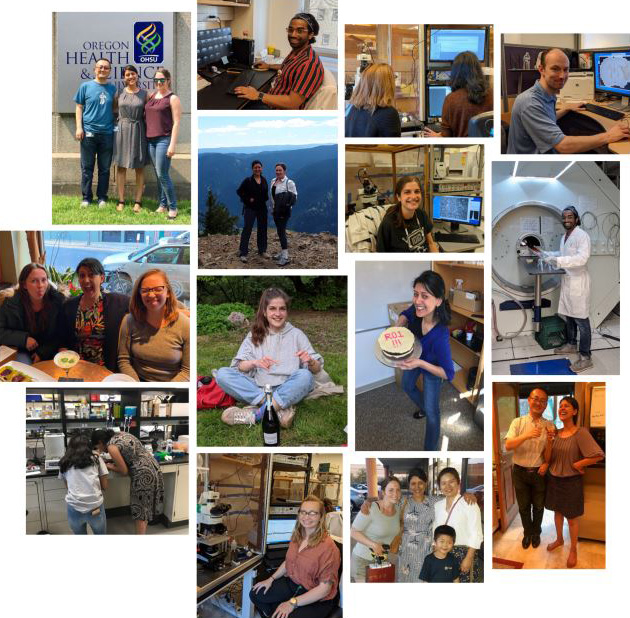 A collage of members of the Mishra Lab working and living 