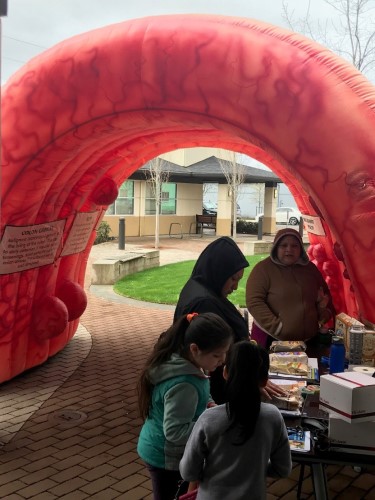 Virginia Garcia's Stop Colorectal Cancer continuation project uses the Strollin Colon to educate 