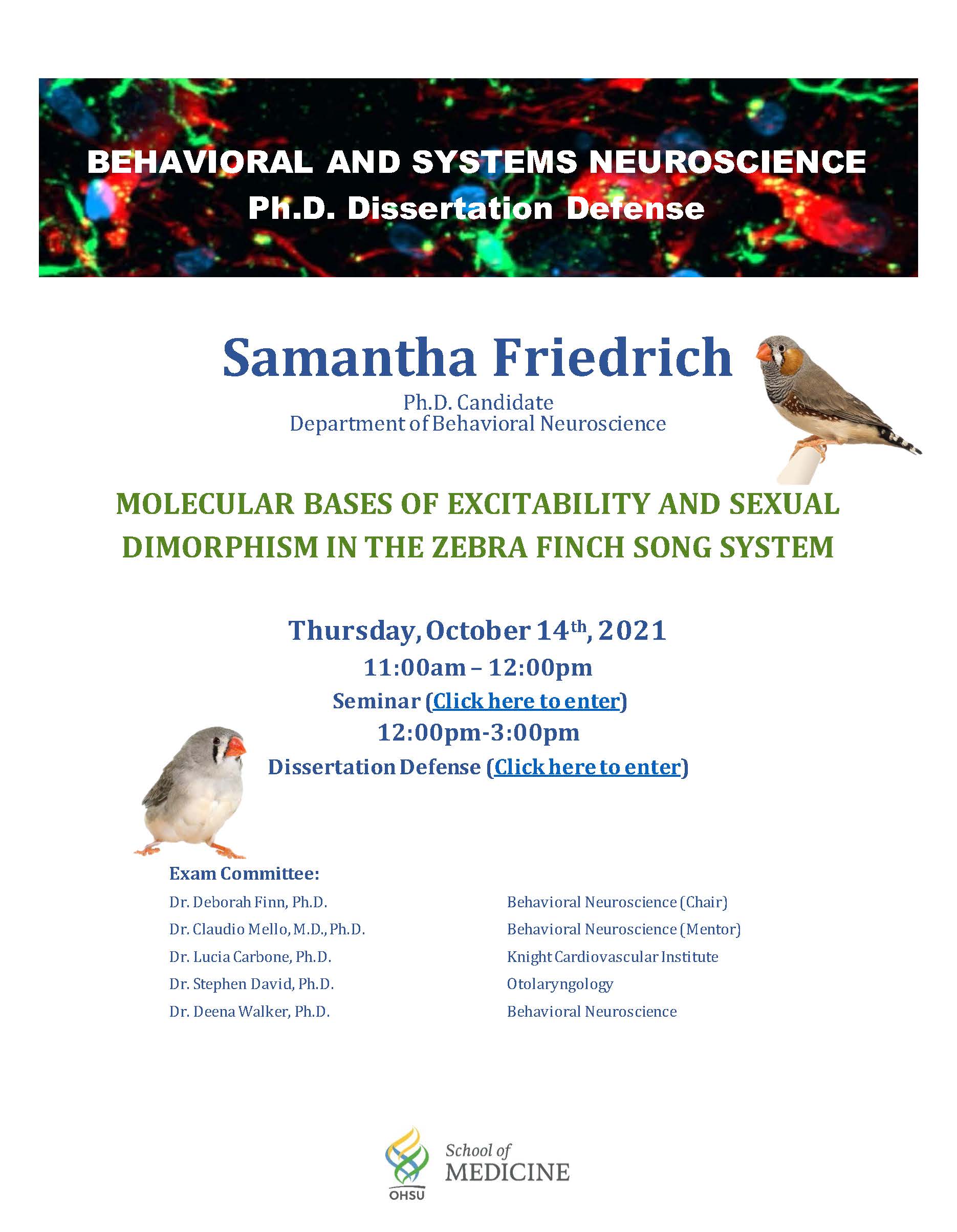 Samantha Friedrich Ph.D. Dissertation Defense Flyer