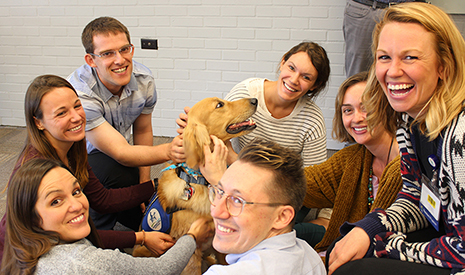 A group of our Pediatric residents smiling as they crowd around and pet Davis, one of OHSU Doernbecher Children's Hospital's therapy dogs.