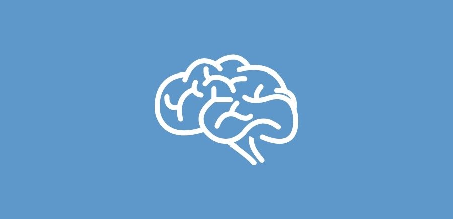 Icon of an outline of a brain