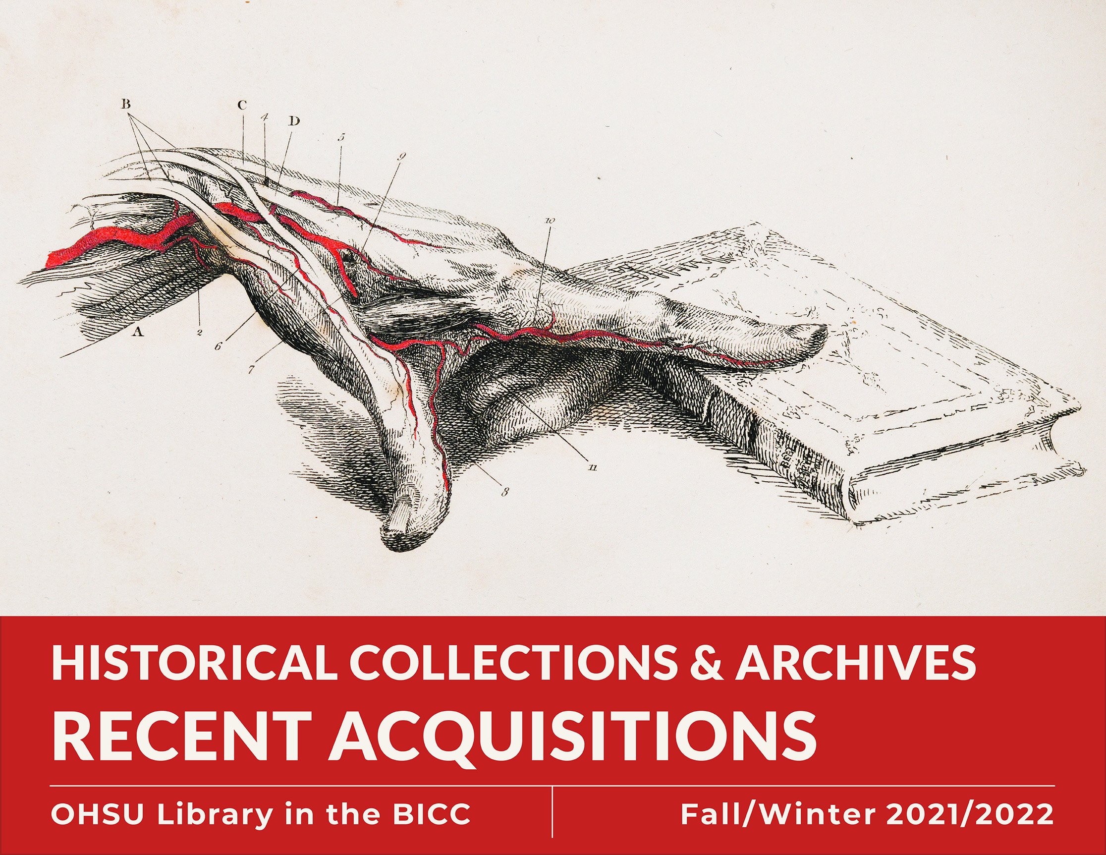 Historical Collections & Archives: Recent Acquisitions. OHSU Library in the BICC. Fall/Winter 2022. Illustration of a hand composed of muscles and blood vessels resting on a closed book.
