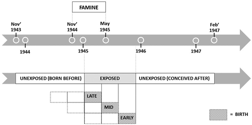 visualization of gestational famine exposure