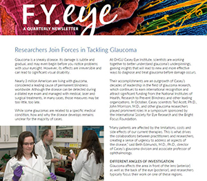 Cover image of the FYE Newsletter