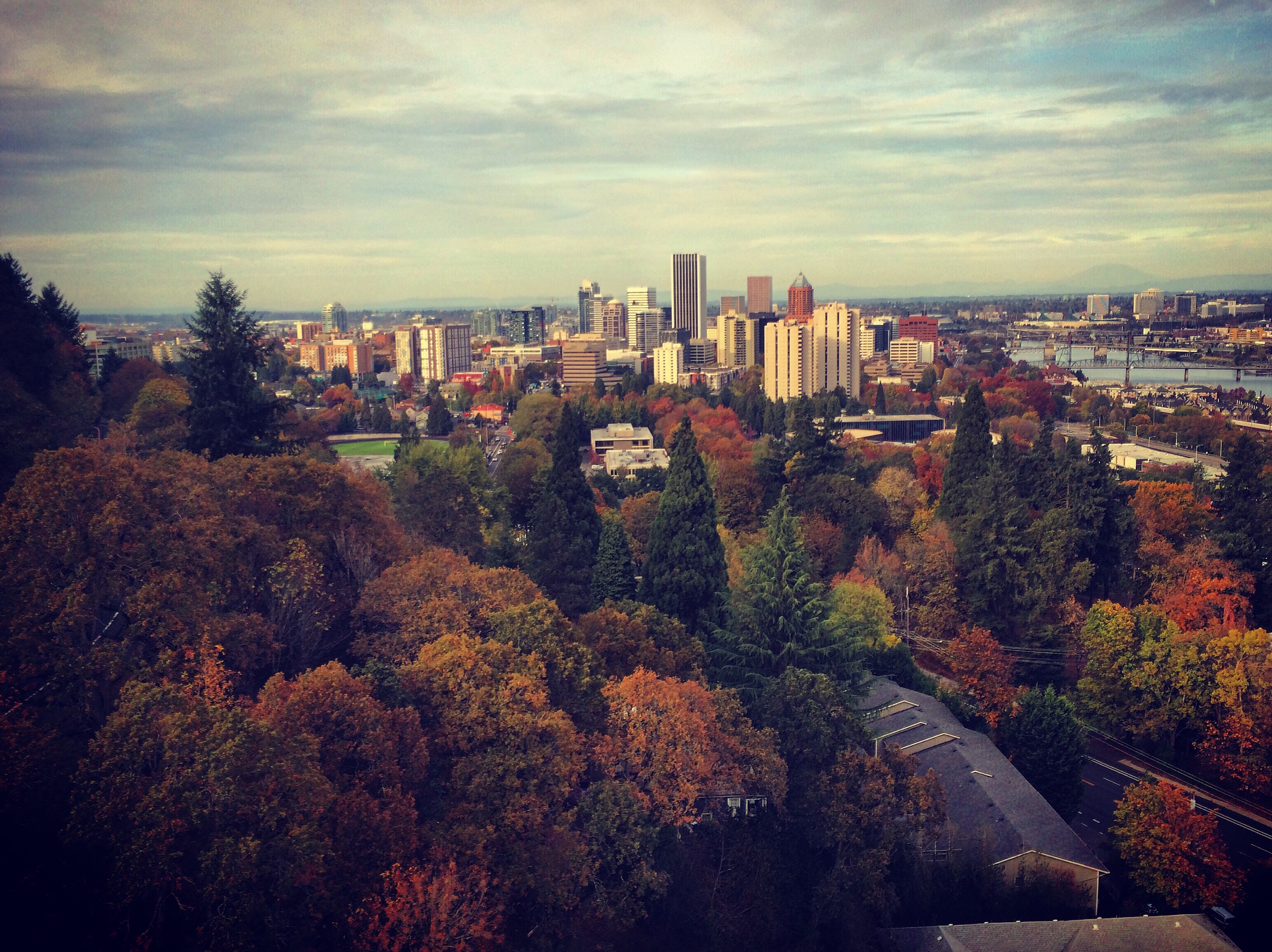 Portland in fall from the Tram