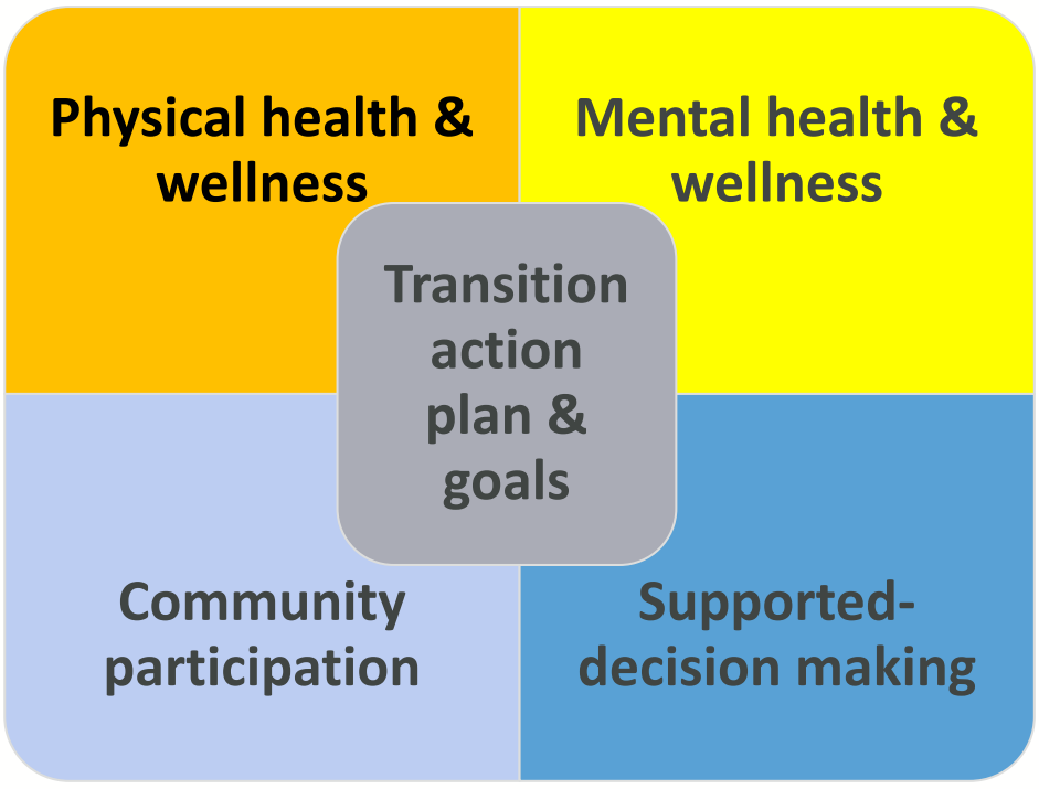 Transition action plan and goals visual with four sections for physical and mental wellness, as well as community participation and supported decision making
