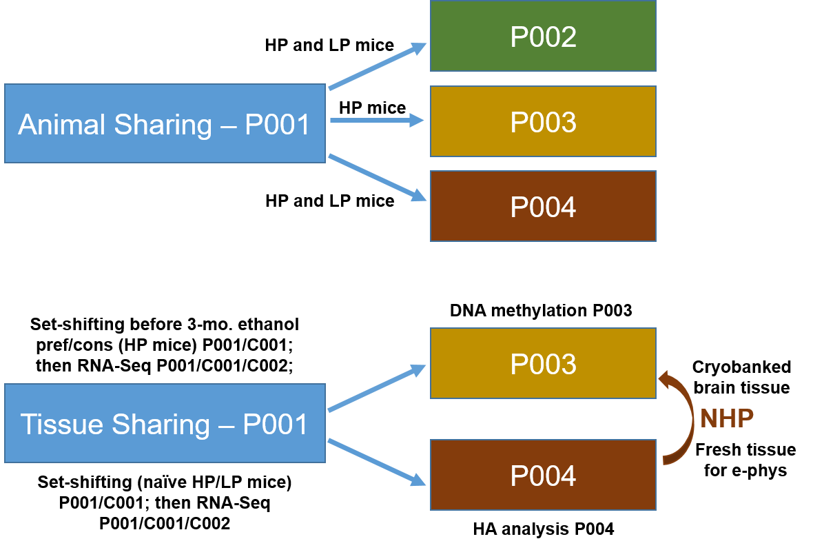 Diagram of P001's connections with the other core projects