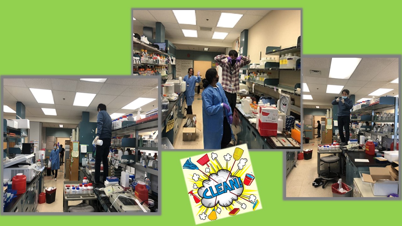 lab collage