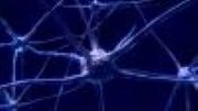 synapse nerve