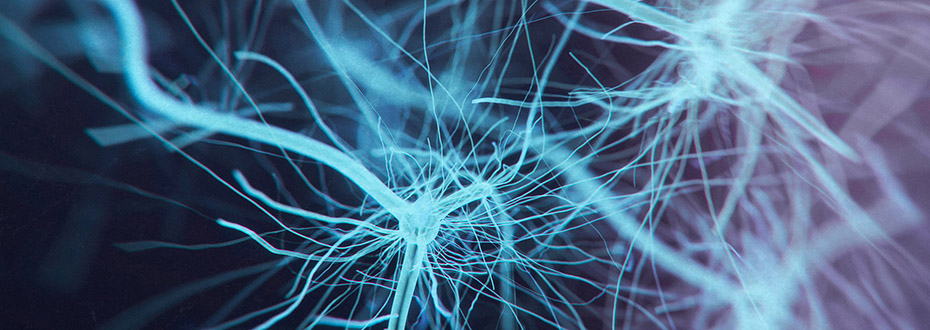 stock image of blue and purple neurons