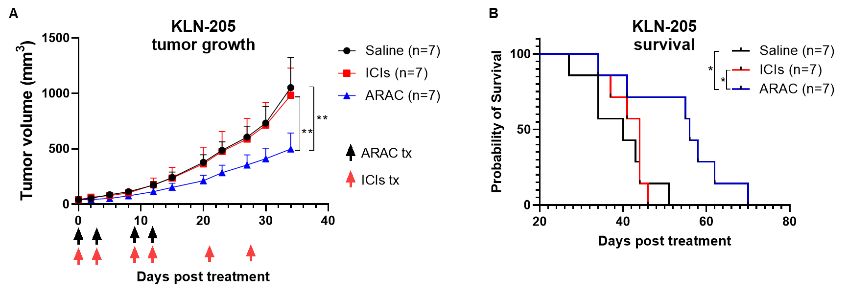 ARAC in vivo