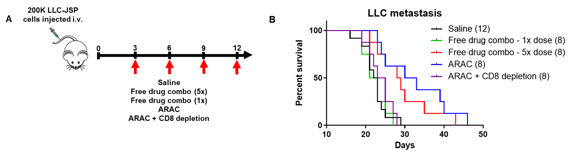 ARAC-in-vivo