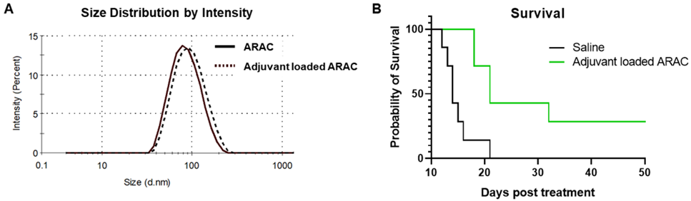 ARAC+adjuvant