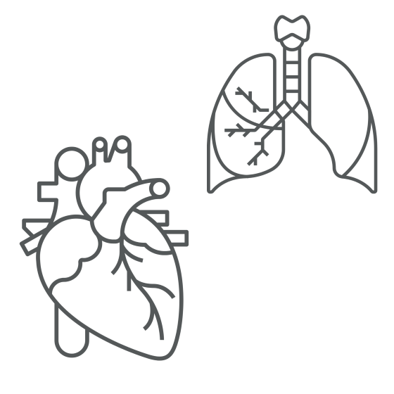simple drawing of heart and lung