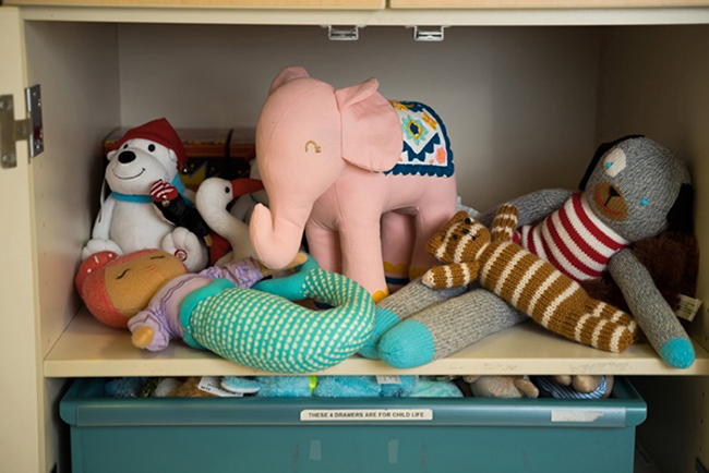 A cabinet with stuffed animals in it.
