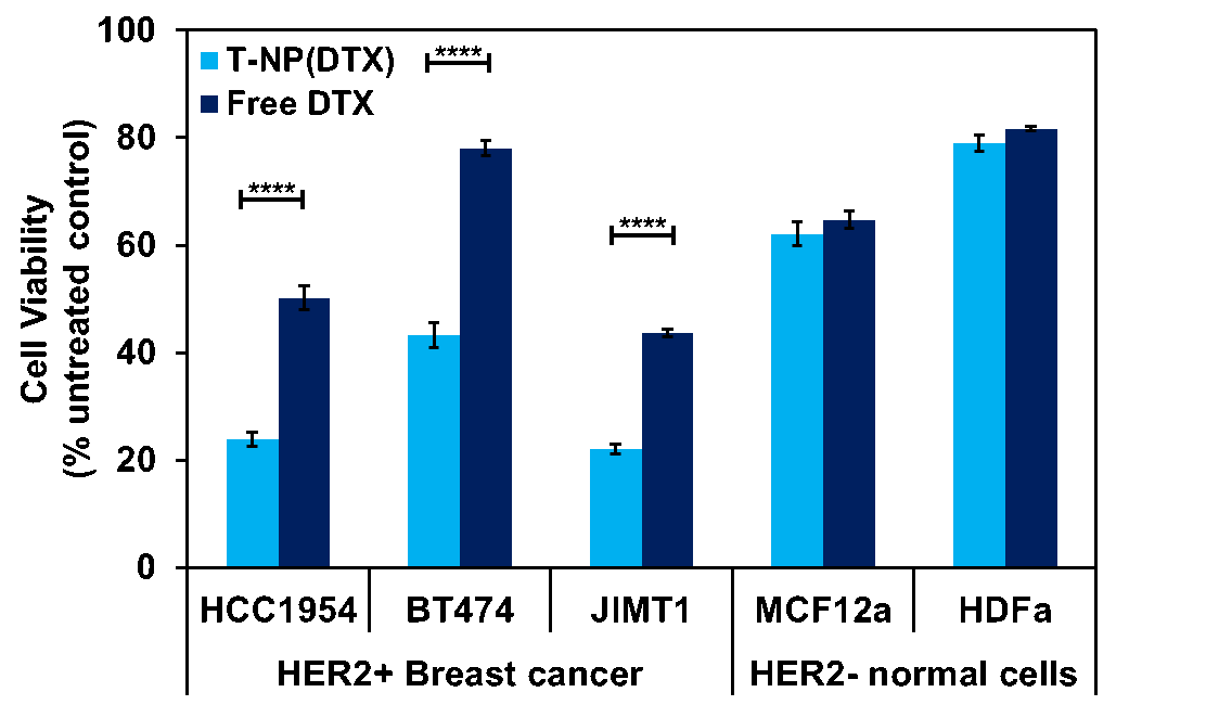 T-siHER2-NP(DTX)_in vitro