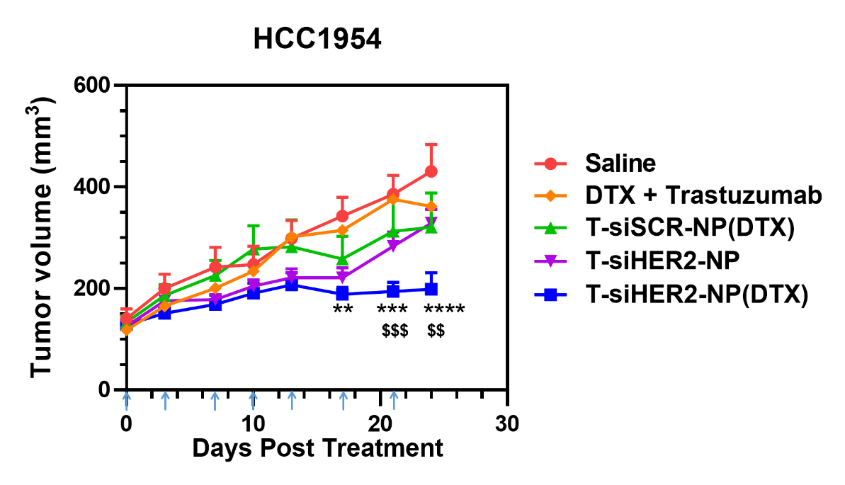 T-siHER2-NP(DTX)_in vivo