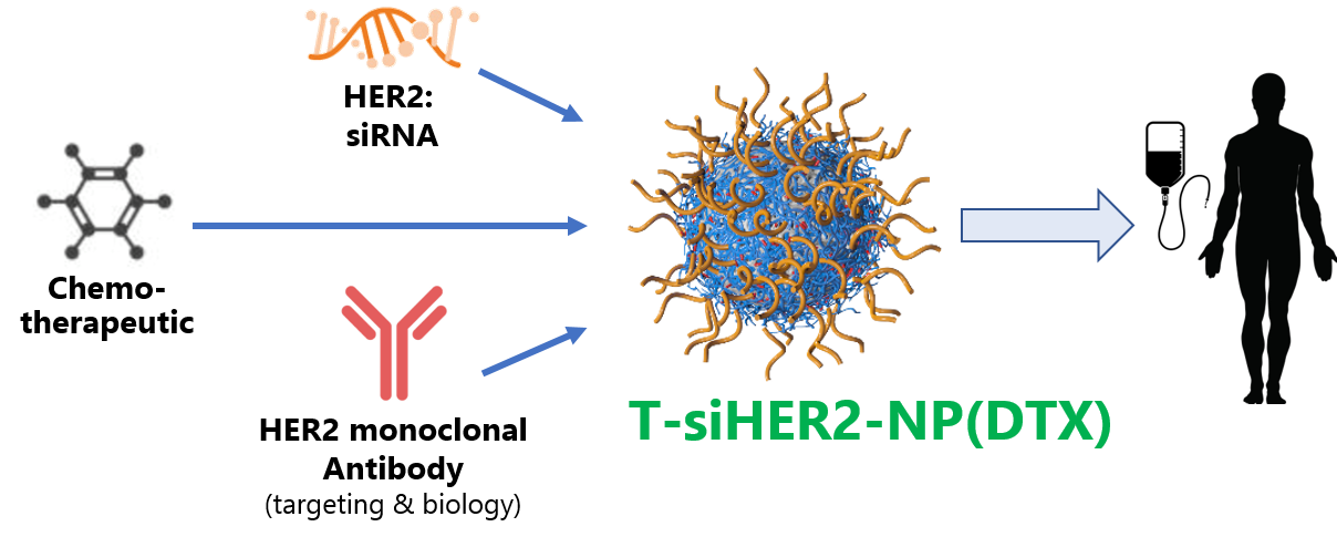 T-siHER2-NP_diagram