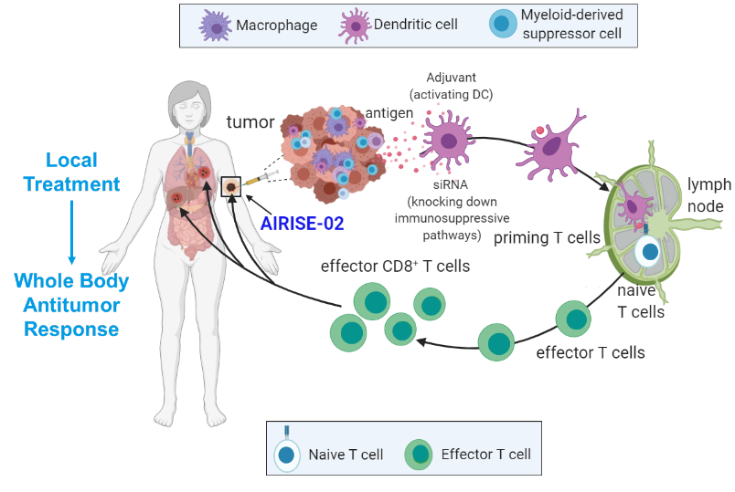 Tumor-Microenvironment-AIRISE