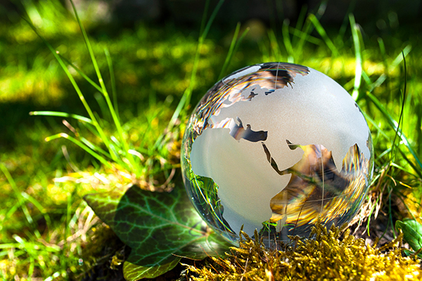Image of small Globe lying in the grass