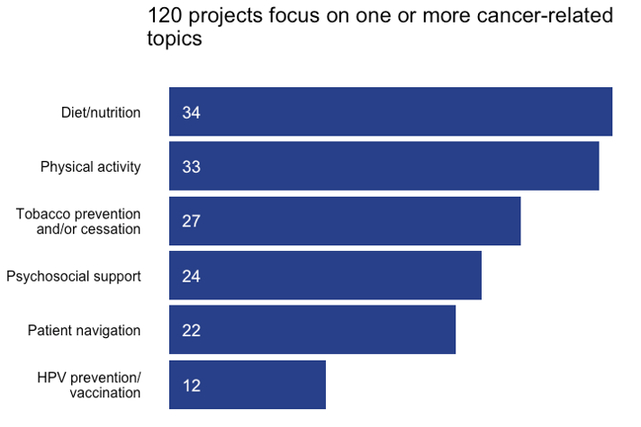 120 projects focus on at lest one other cancer-related topic