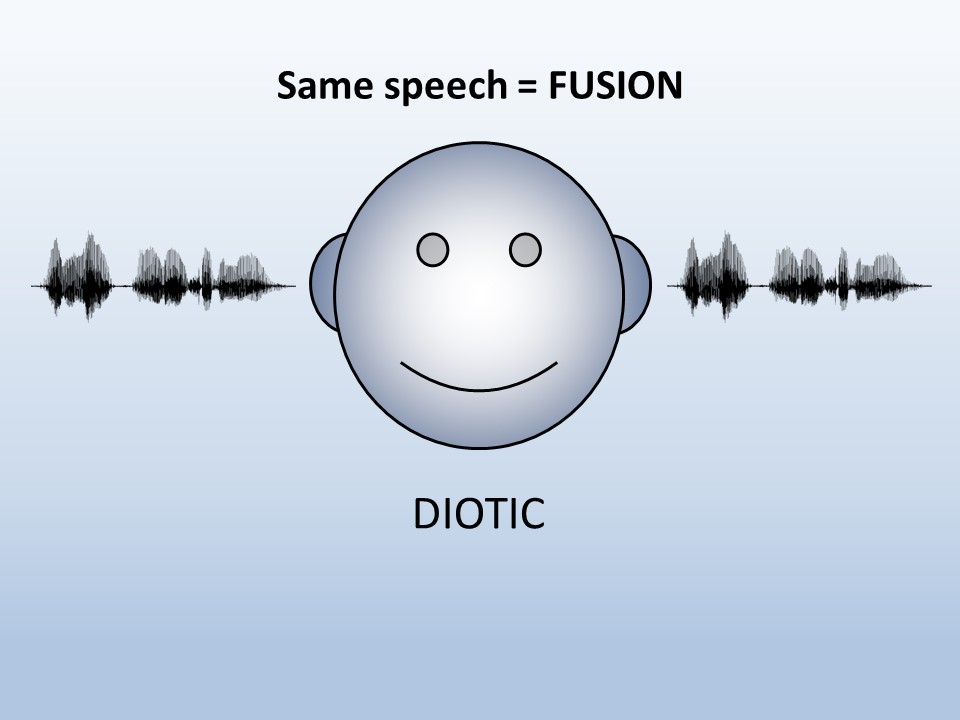 Fusion of diotic (same) speech