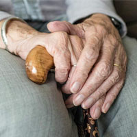 hands of an elderly man on a cane