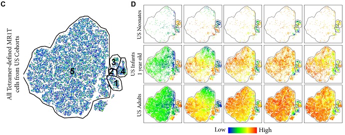 figure showing tSNE clustering of flow cytometry data