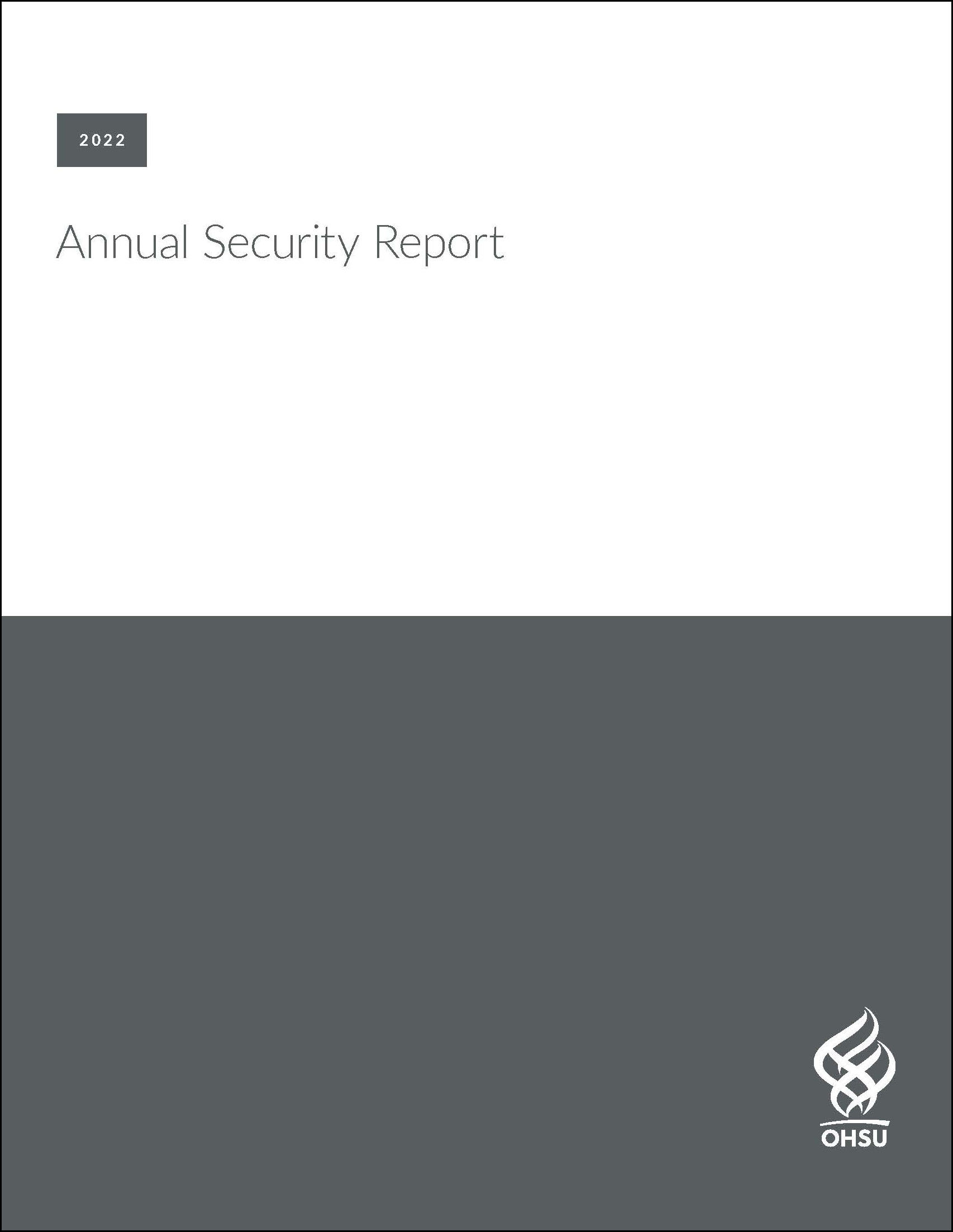 2022 Annual Security report image