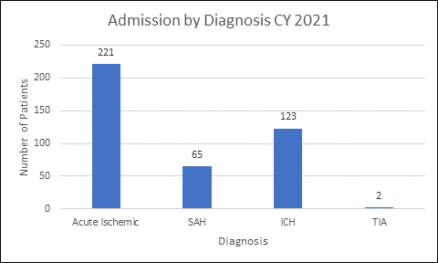 Admissions by Diagnosis for Calendar Year 2021