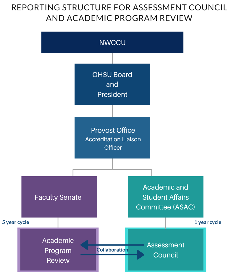 Academic Program Review Hierarchy Chart