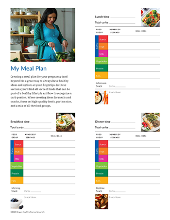 A preview image of a meal tracking resource for women during pregnancy.