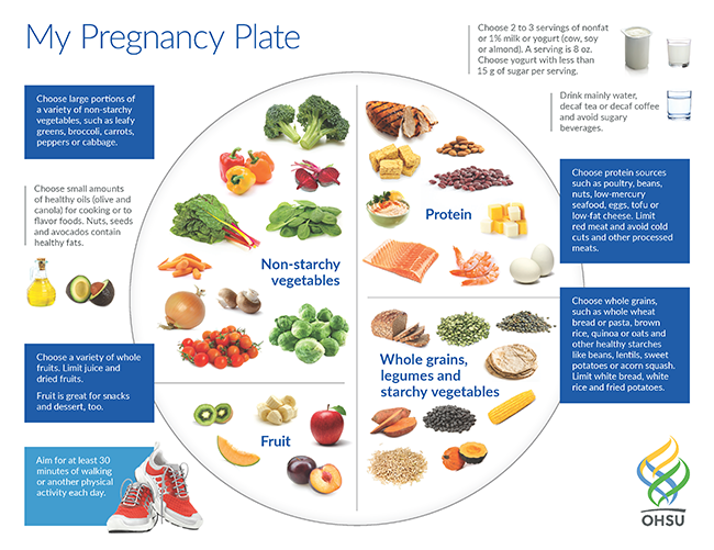 A visual guide that recommends foods and portions for women during pregnancy.