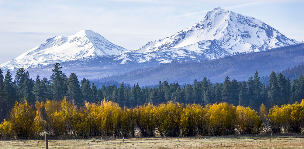 Snow-covered mountain peaks behind fall trees