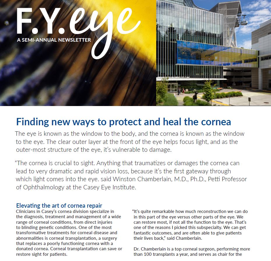 Cover image of the FY Eye Newsletter