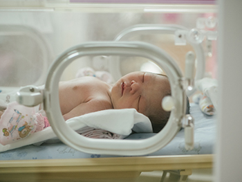 A newborn sleeps in an incubator.