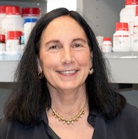 Picture of Marina Wolf, PhD