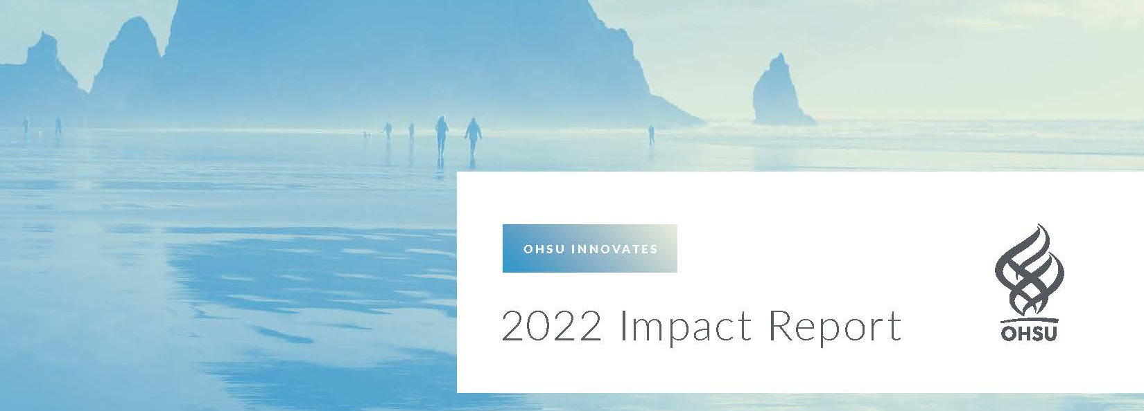 Image of cover page of 2022 Impact Report