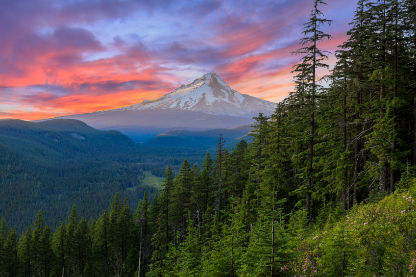 Oregon landscape at sunset