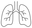 Icon of two lungs with their vasculature marked.