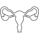 Icon of a human uterus and ovaries.